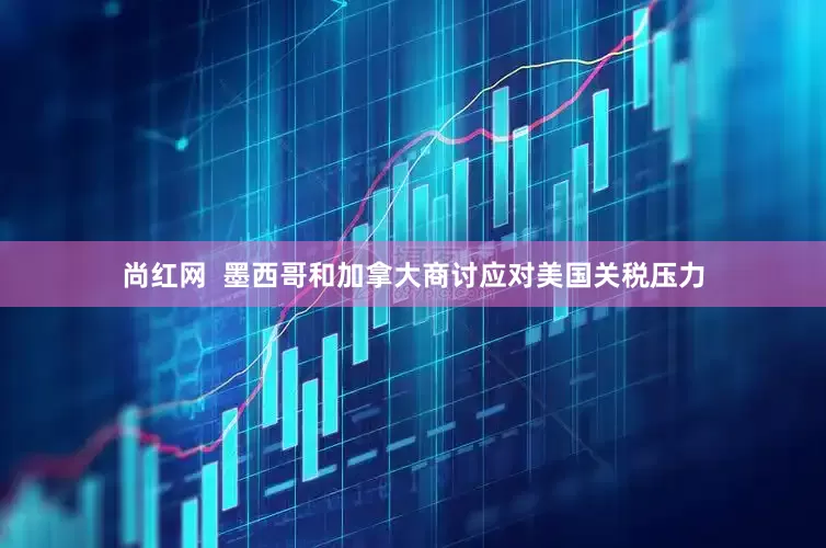 尚红网  墨西哥和加拿大商讨应对美国关税压力