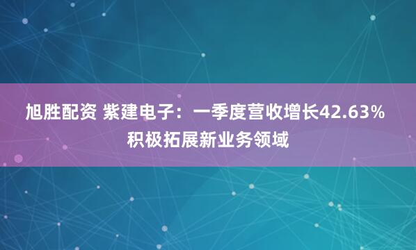 旭胜配资 紫建电子：一季度营收增长42.63% 积极拓展新业务领域