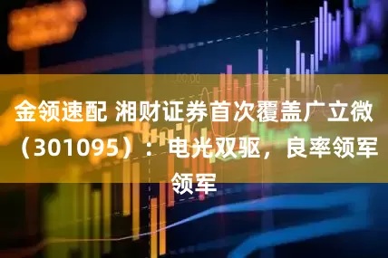 金领速配 湘财证券首次覆盖广立微（301095）：电光双驱，良率领军